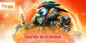 thuật ngữ đá gà phổ biến